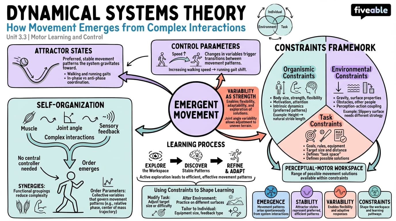 3.3 Dynamical Systems Theory - Motor Learning and Control - Unit 3 visual cheatsheet