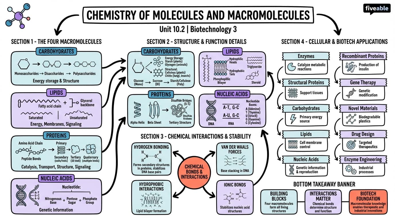 10.2 Chemistry of molecules and macromolecules - Biotechnology 3 - Unit 10 visual cheatsheet