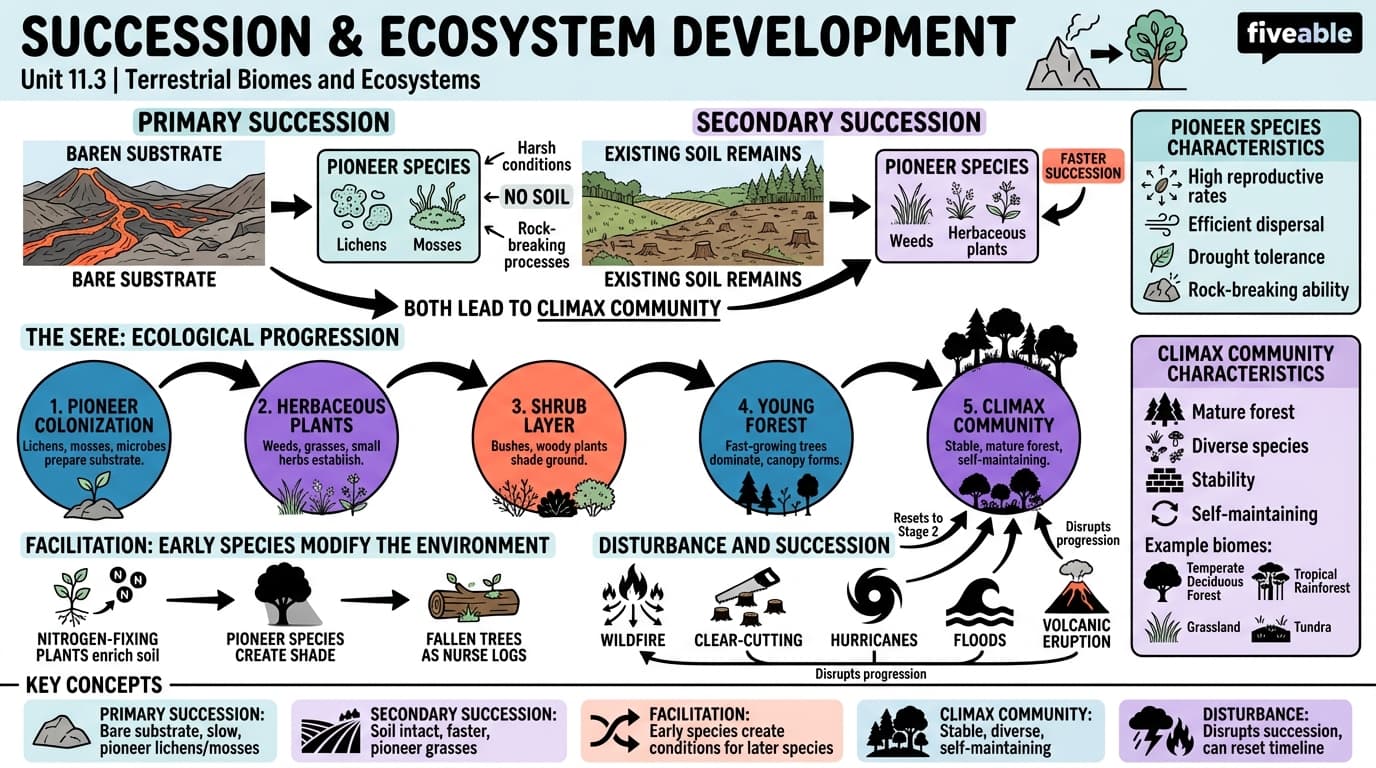 11.3 Succession and ecosystem development - Earth Systems Science - Unit 11 visual cheatsheet