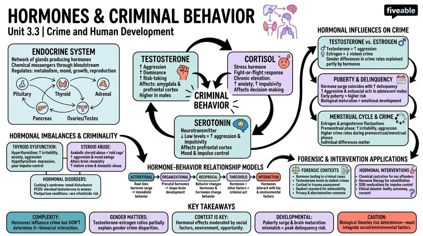 3.3 Hormones and criminal behavior - Crime and Human Development - Unit 3 visual cheatsheet