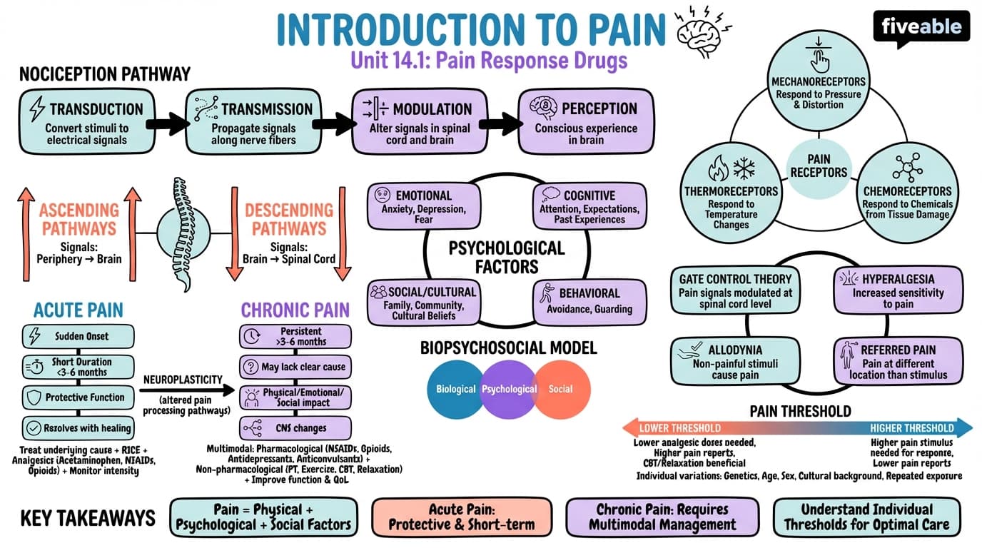 14.1 Introduction to Pain - Pharmacology for Nurses - Unit 14 visual cheatsheet
