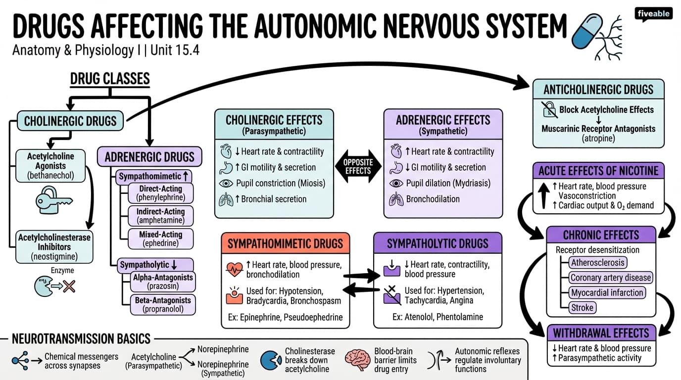 15.4 Drugs that Affect the Autonomic System - Anatomy and Physiology I - Unit 15 visual cheatsheet