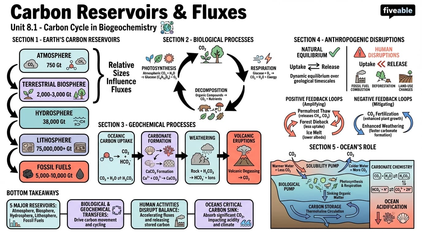 8.1 Carbon Reservoirs and Fluxes - Environmental Chemistry I - Unit 8 visual cheatsheet