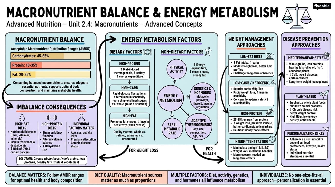 2.4 Macronutrient balance and energy metabolism - Advanced Nutrition - Unit 2 visual cheatsheet