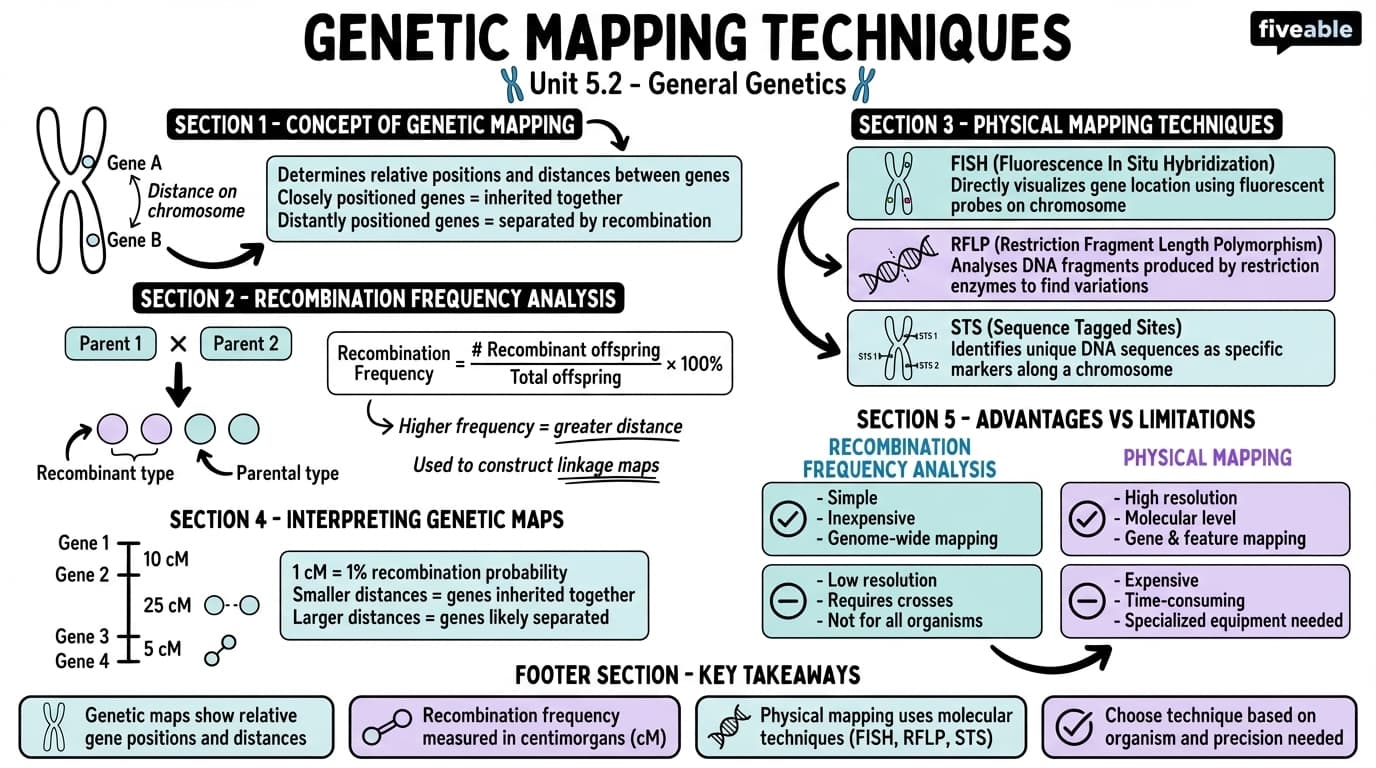 5.2 Genetic Mapping Techniques - General Genetics - Unit 5 visual cheatsheet