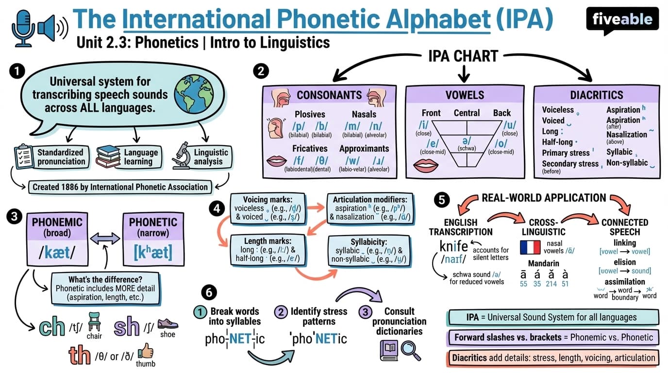 2.3 The International Phonetic Alphabet (IPA) - Intro to Linguistics - Unit 2 visual cheatsheet