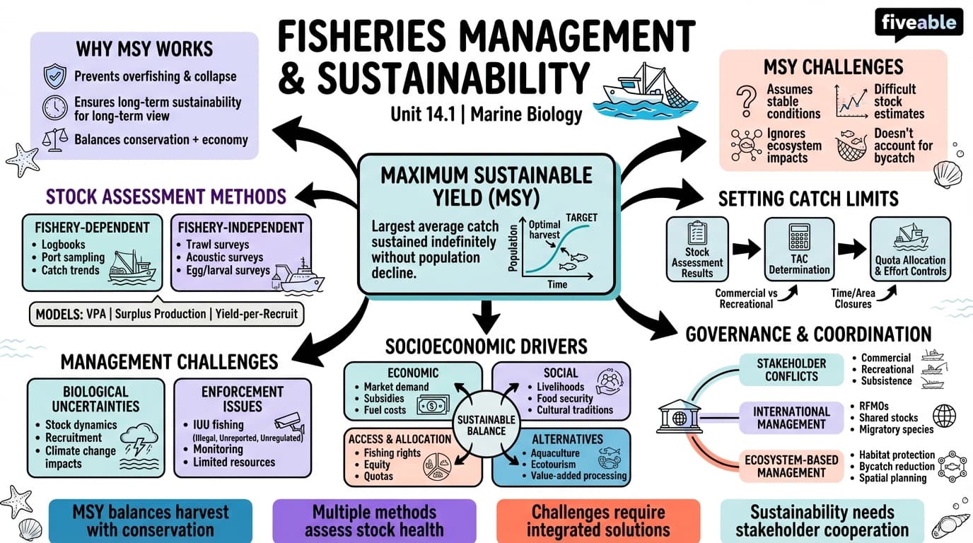 14.1 Principles of fisheries management and sustainability - Marine Biology - Unit 14 visual cheatsheet