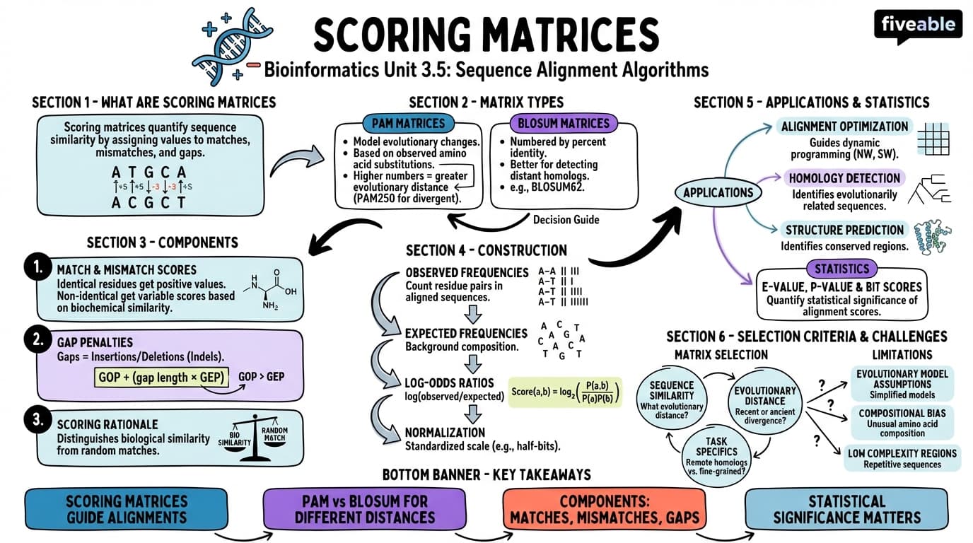 3.5 Scoring matrices - Bioinformatics - Unit 3 visual cheatsheet