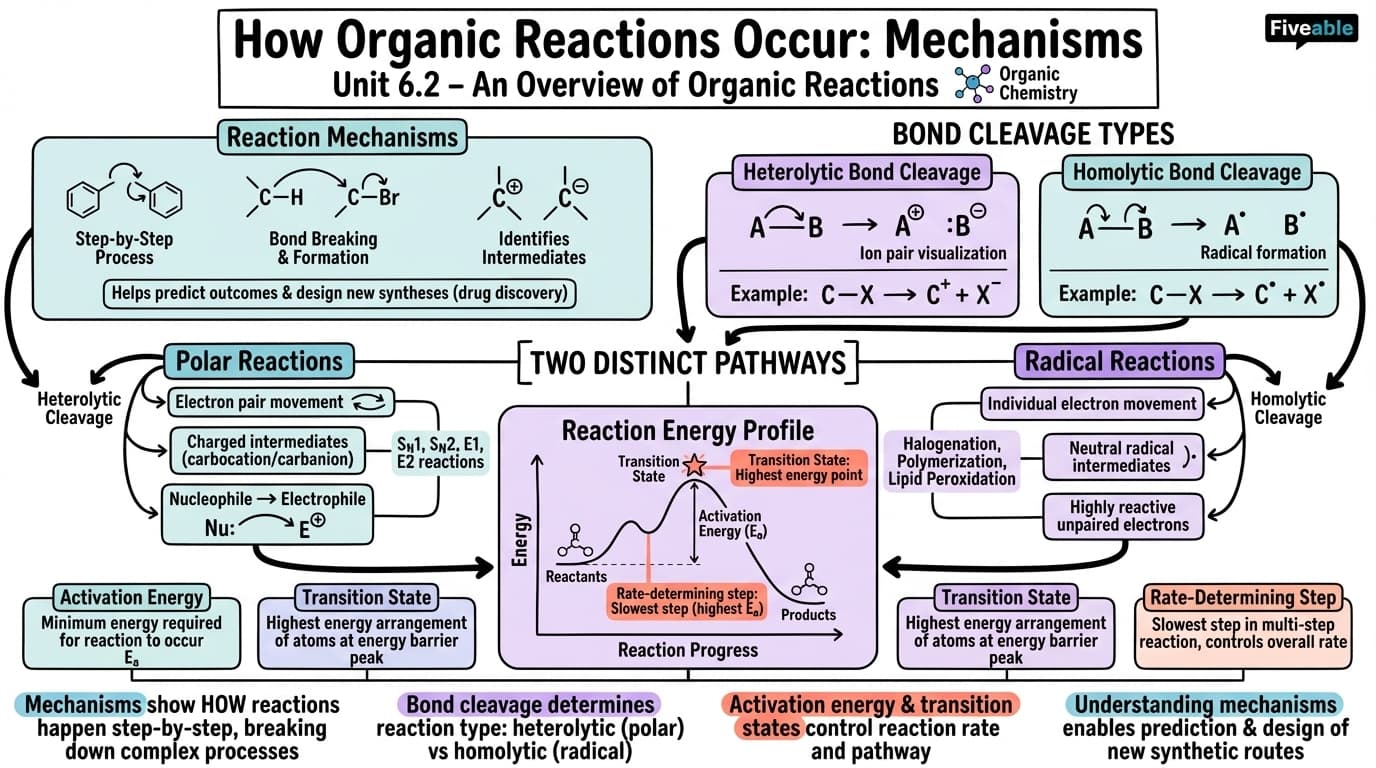 6.2 How Organic Reactions Occur: Mechanisms - Organic Chemistry - Unit 6 visual cheatsheet