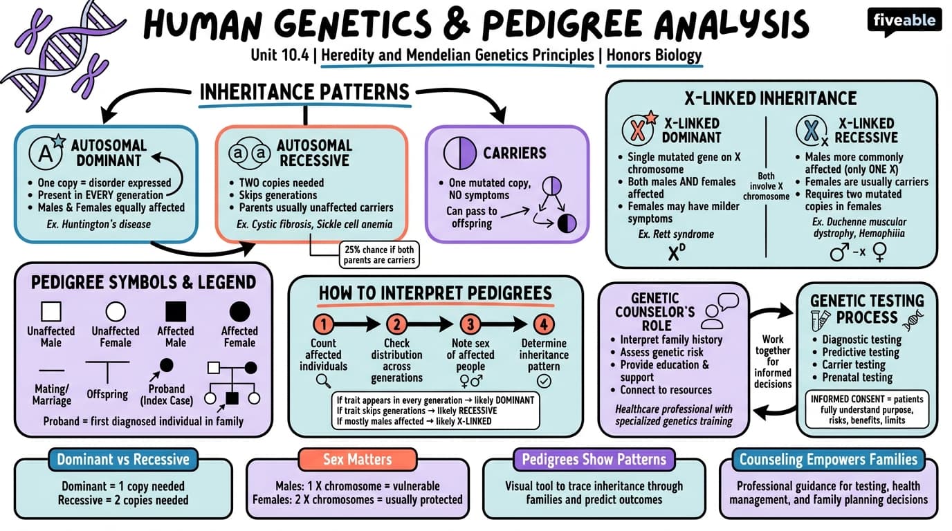 10.4 Human Genetics and Pedigree Analysis - Honors Biology - Unit 10 visual cheatsheet