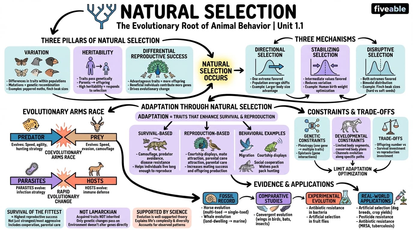 1.1 Natural selection - Animal Behavior - Unit 1 visual cheatsheet
