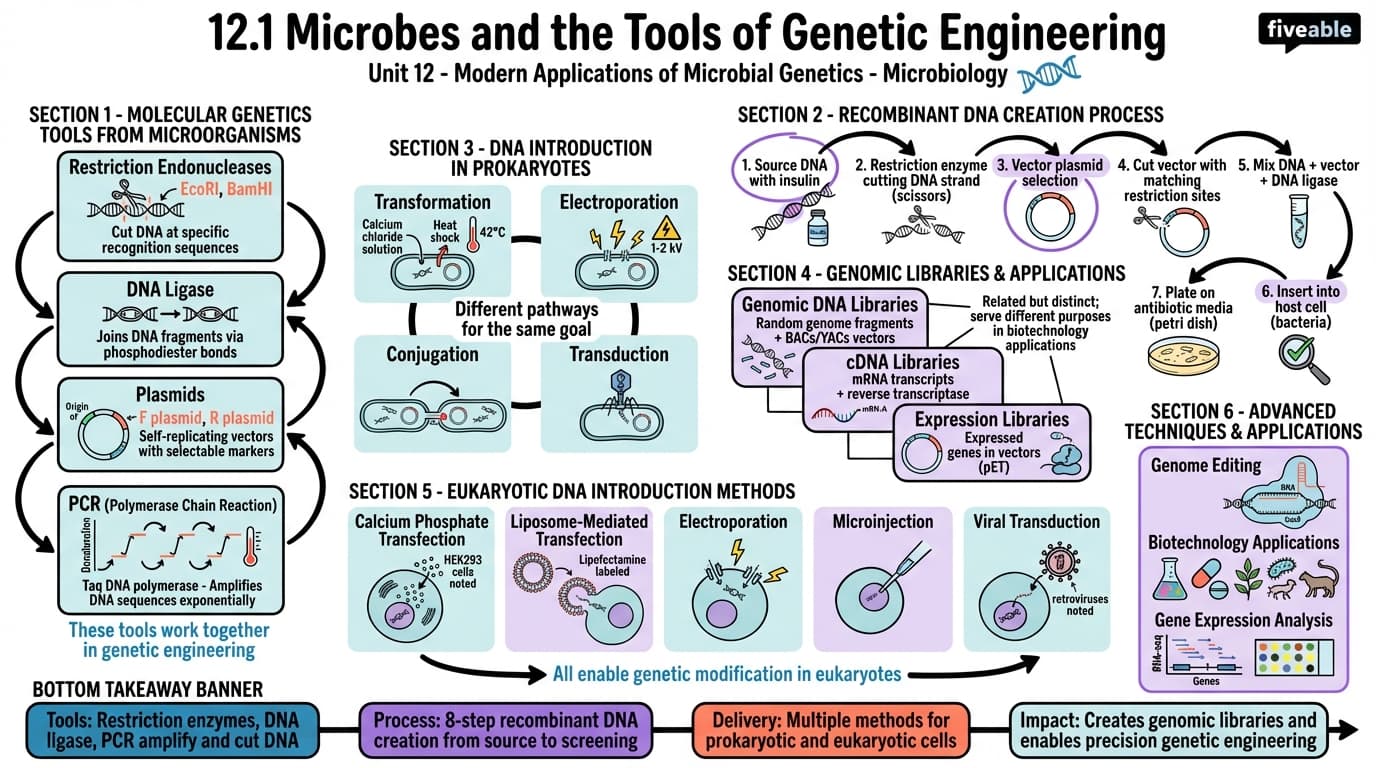 12.1 Microbes and the Tools of Genetic Engineering - Microbiology - Unit 12 visual cheatsheet