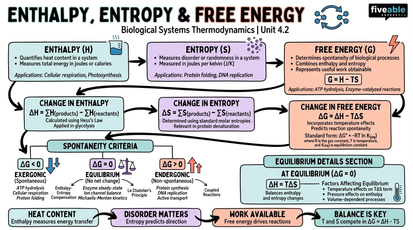 4.2 Enthalpy, Entropy, and Free Energy - Chemical Basis of Bioengineering I - Unit 4 visual cheatsheet