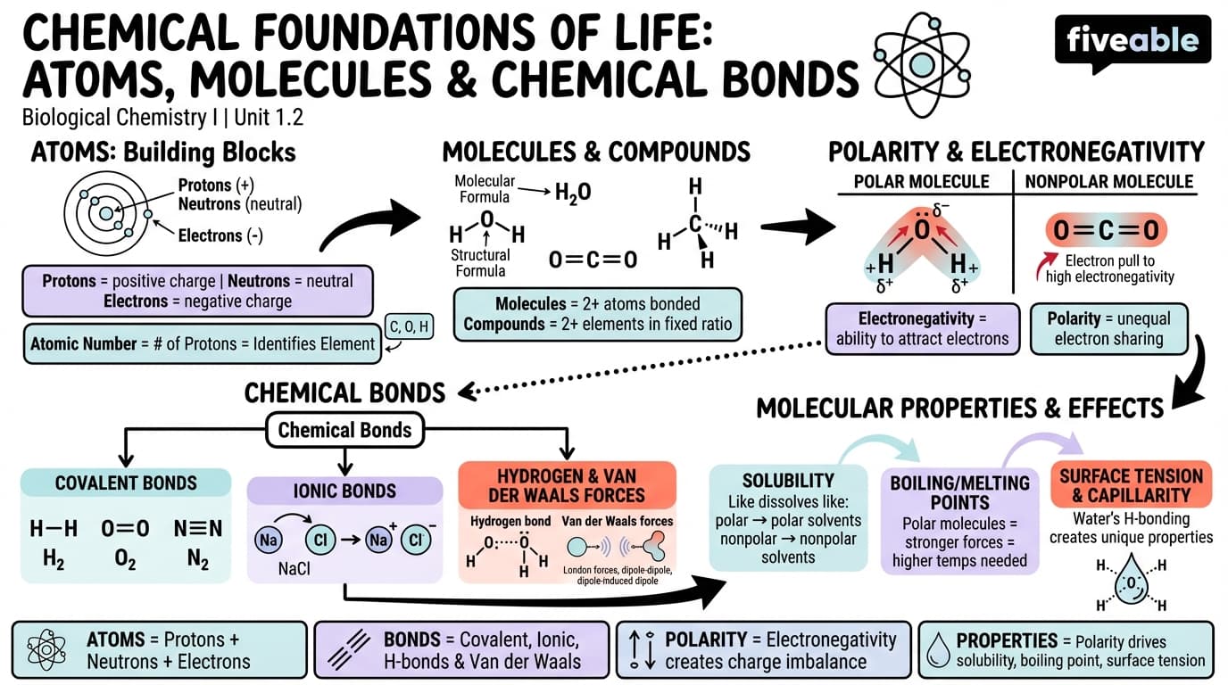 1.2 Chemical foundations of life: atoms, molecules, and chemical bonds - Biological Chemistry I - Unit 1 visual cheatsheet