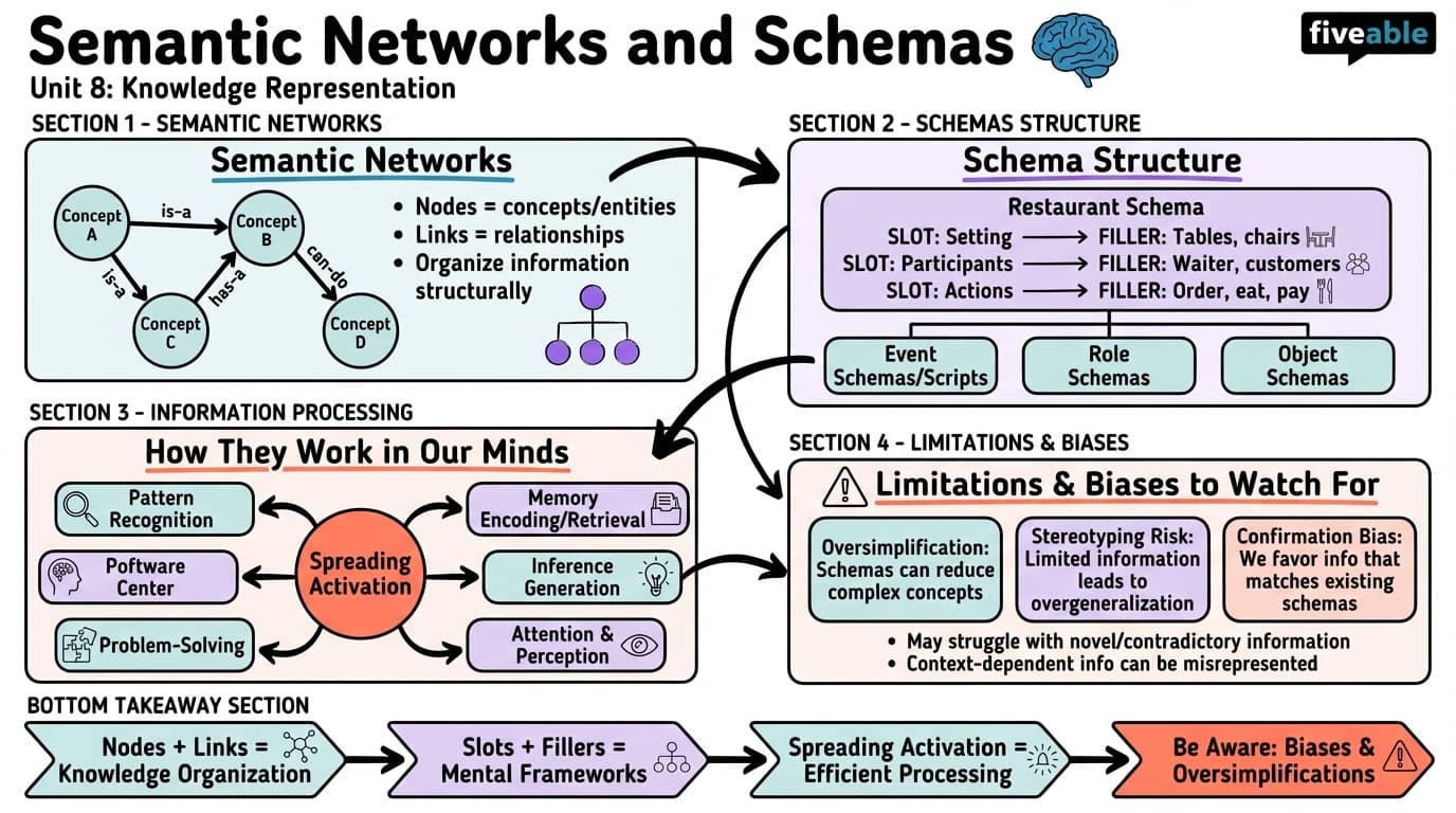 8.1 Semantic Networks and Schemas - Cognitive Psychology - Unit 8 visual cheatsheet
