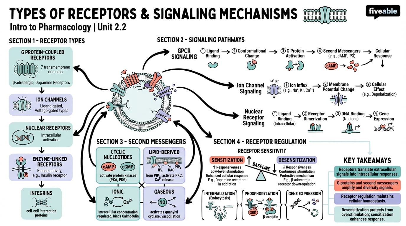 2.2 Types of receptors and signaling mechanisms - Intro to Pharmacology - Unit 2 visual cheatsheet