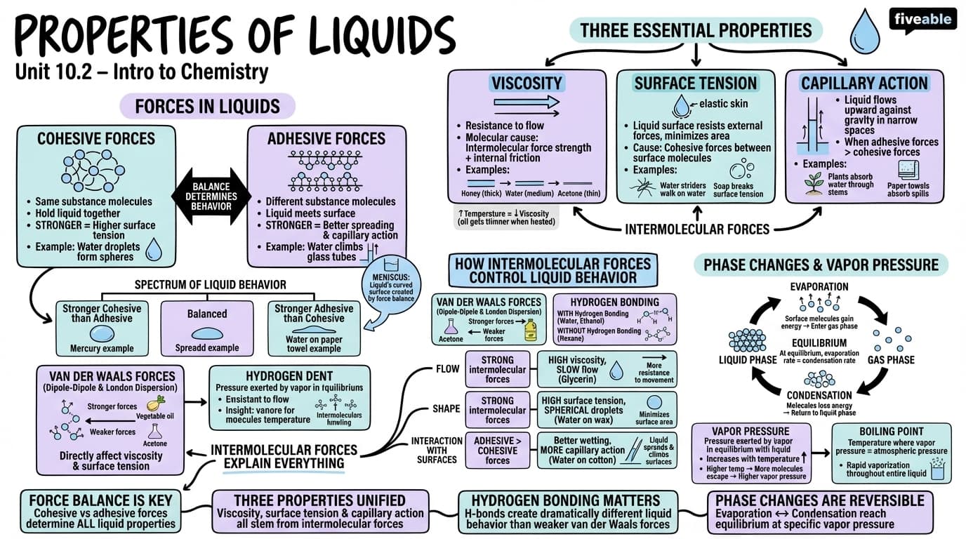 10.2 Properties of Liquids - Intro to Chemistry - Unit 10 visual cheatsheet