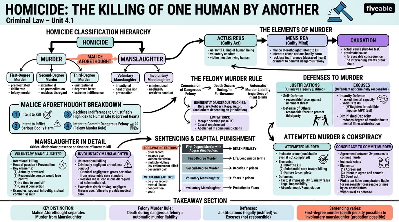 4.1 Homicide - Criminal Law - Unit 4 visual cheatsheet