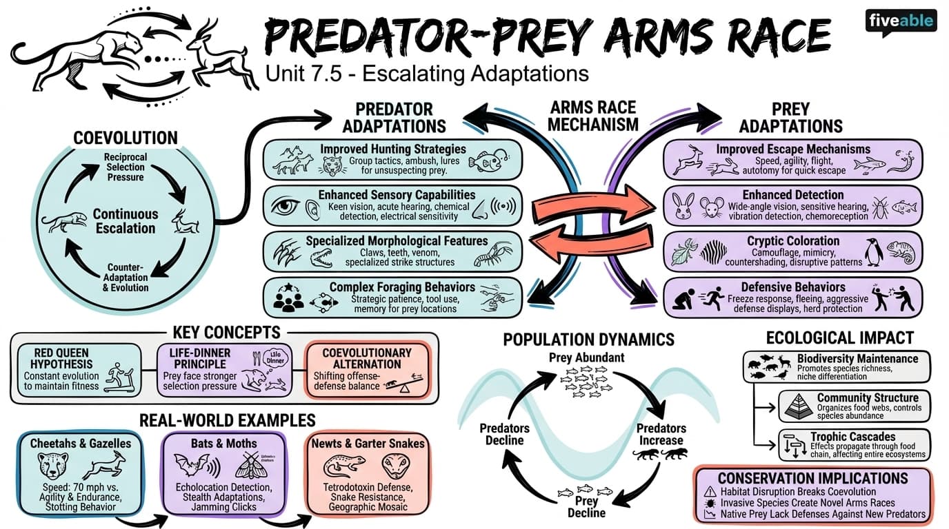 7.5 Predator-prey arms race - Animal Behavior - Unit 7 visual cheatsheet