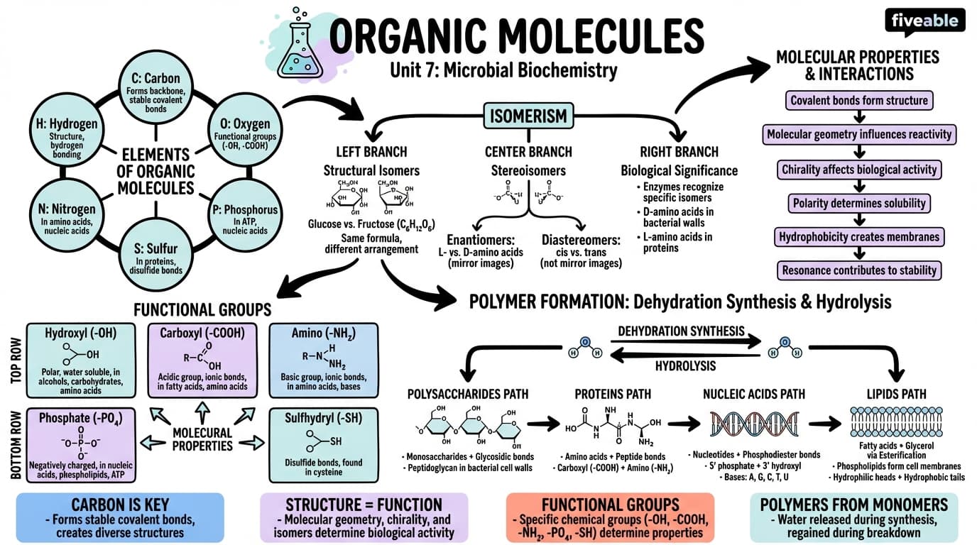 7.1 Organic Molecules - Microbiology - Unit 7 visual cheatsheet