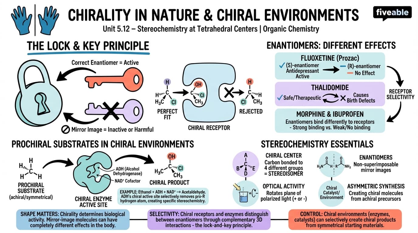 5.12 Chirality in Nature and Chiral Environments - Organic Chemistry - Unit 5 visual cheatsheet