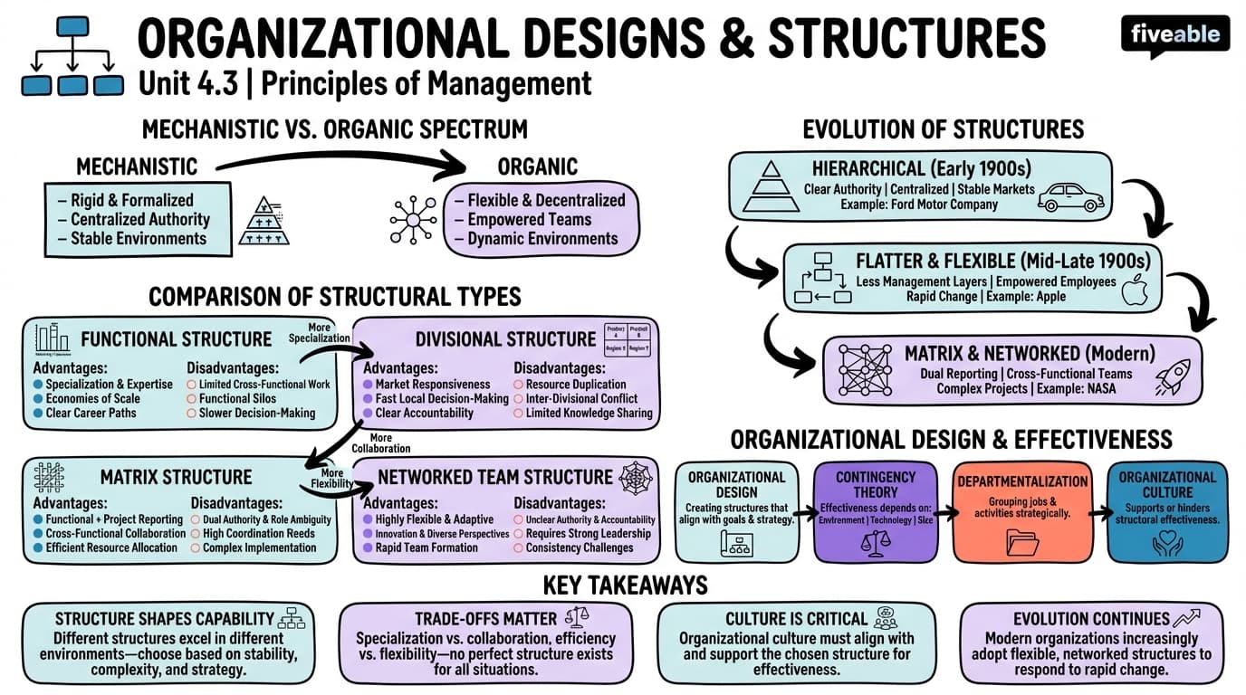 4.3 Organizational Designs and Structures - Principles of Management - Unit 4 visual cheatsheet