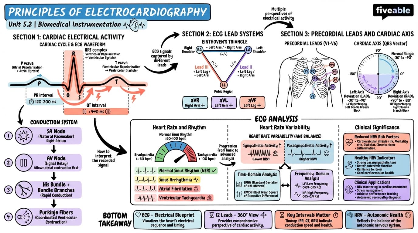 5.2 Principles of Electrocardiography - Biomedical Instrumentation - Unit 5 visual cheatsheet