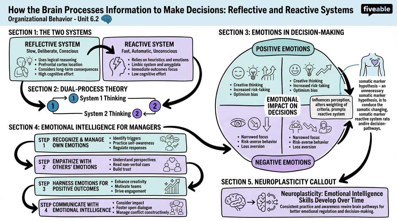 6.2 How the Brain Processes Information to Make Decisions: Reflective and Reactive Systems - Organizational Behavior - Unit 6 visual cheatsheet