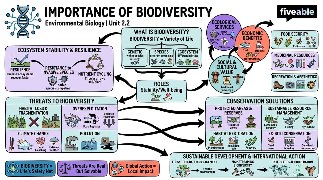 2.2 Importance of biodiversity - Environmental Biology - Unit 2 visual cheatsheet