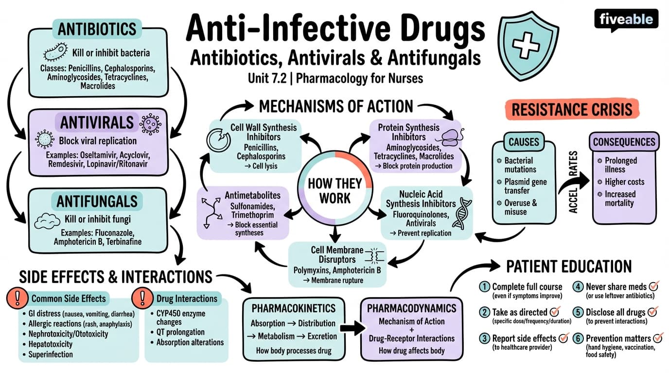 7.2 Antibiotic, Antiviral/Anti–COVID-19, and Antifungal Drugs - Pharmacology for Nurses - Unit 7 visual cheatsheet