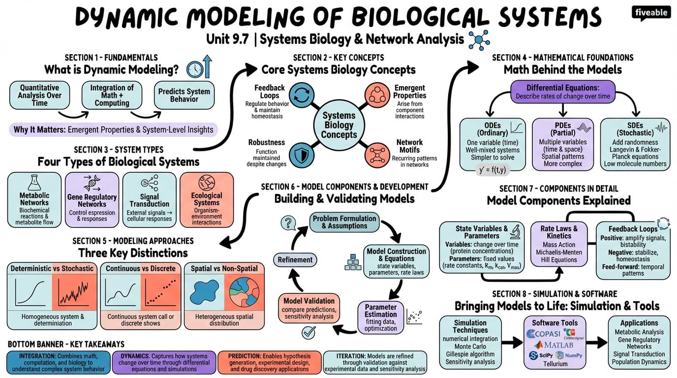 9.7 Dynamic modeling of biological systems - Bioinformatics - Unit 9 visual cheatsheet