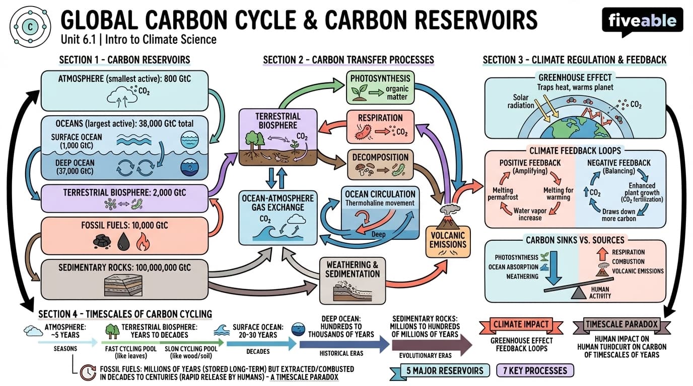 6.1 Global carbon cycle and carbon reservoirs - Intro to Climate Science - Unit 6 visual cheatsheet