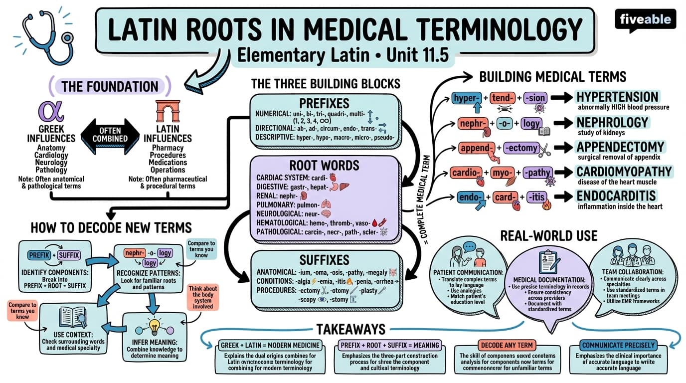 11.5 Latin roots in medical terminology - Elementary Latin - Unit 11 visual cheatsheet