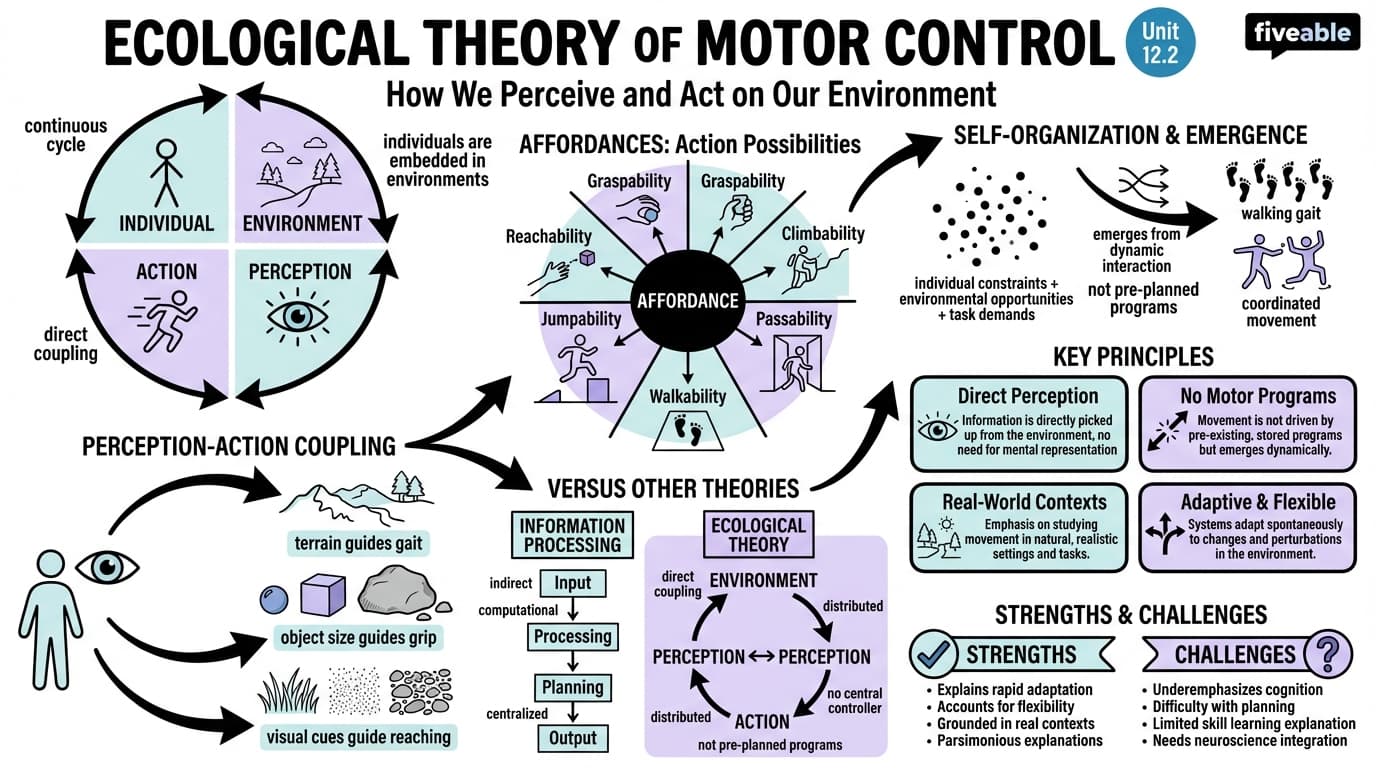 12.2 Ecological Theory of Motor Control - Motor Learning and Control - Unit 12 visual cheatsheet