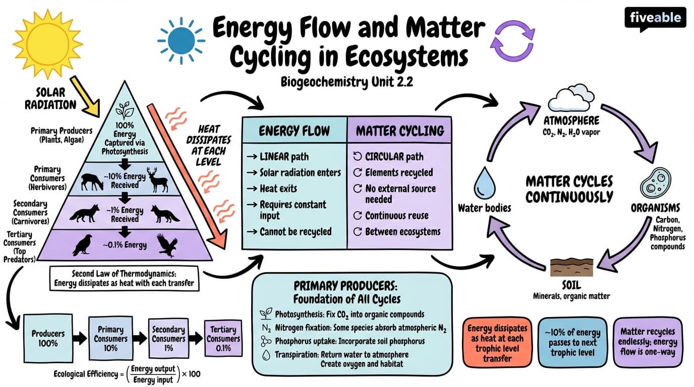 2.2 Energy Flow and Matter Cycling in Ecosystems - Biogeochemistry - Unit 2 visual cheatsheet