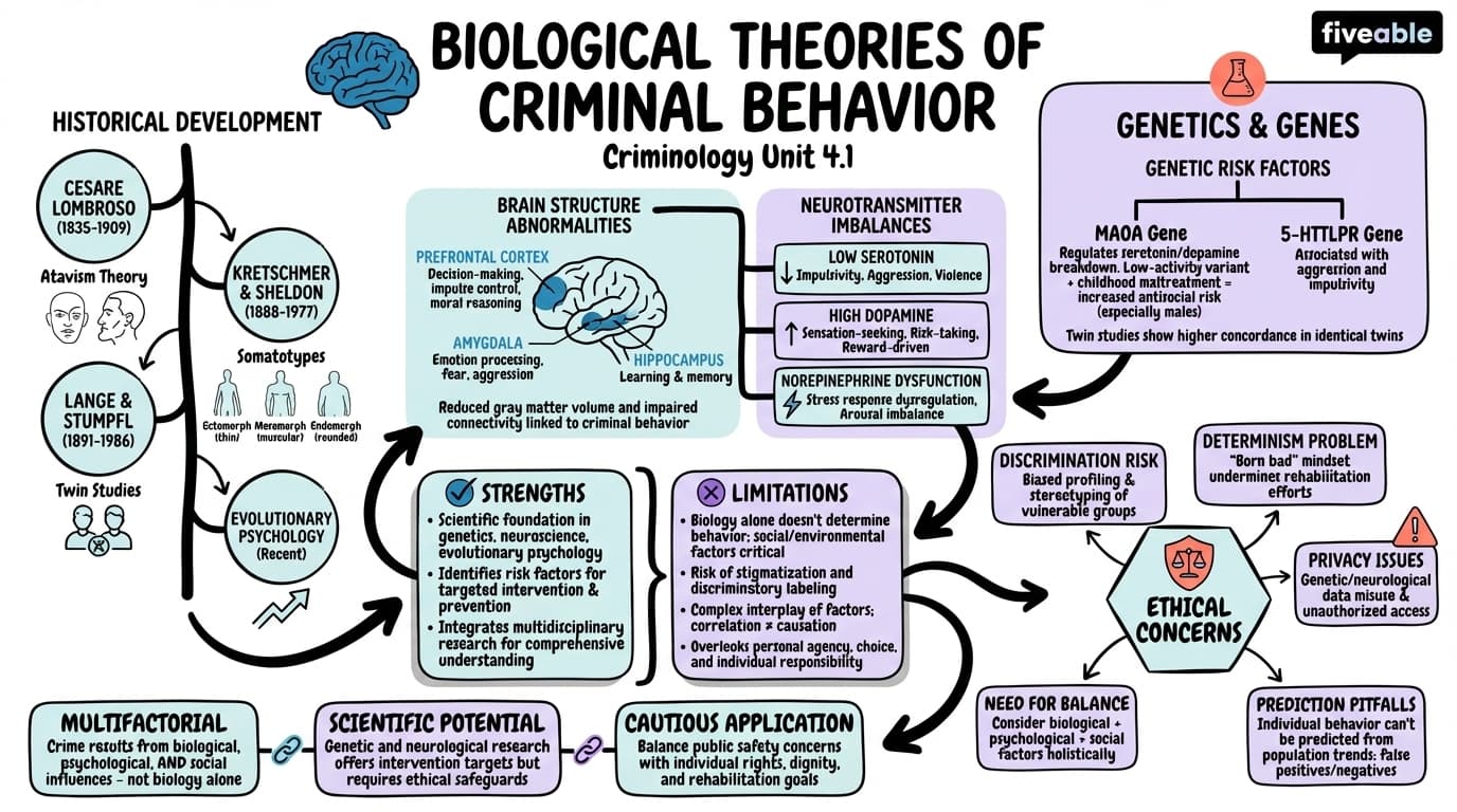 4.1 Biological Theories of Criminal Behavior - Criminology - Unit 4 visual cheatsheet