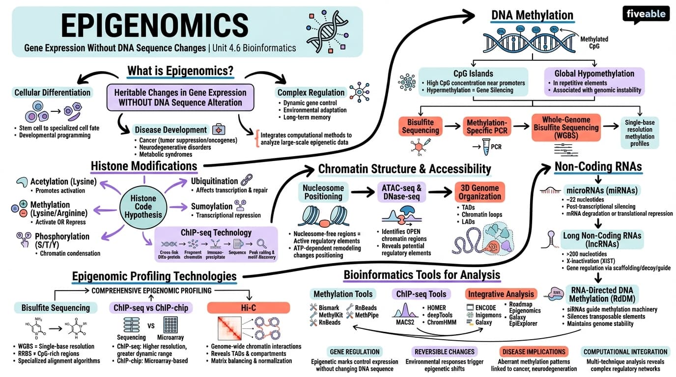 4.6 Epigenomics - Bioinformatics - Unit 4 visual cheatsheet