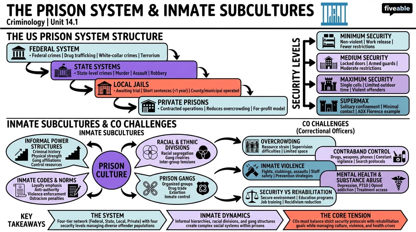 14.1 The Prison System and Inmate Subcultures - Criminology - Unit 14 visual cheatsheet