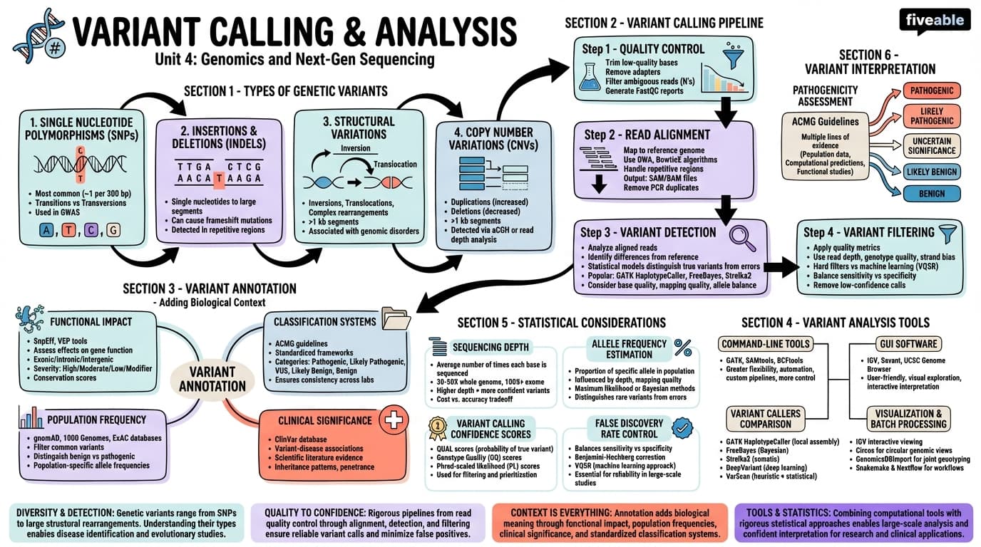 4.4 Variant calling and analysis - Bioinformatics - Unit 4 visual cheatsheet