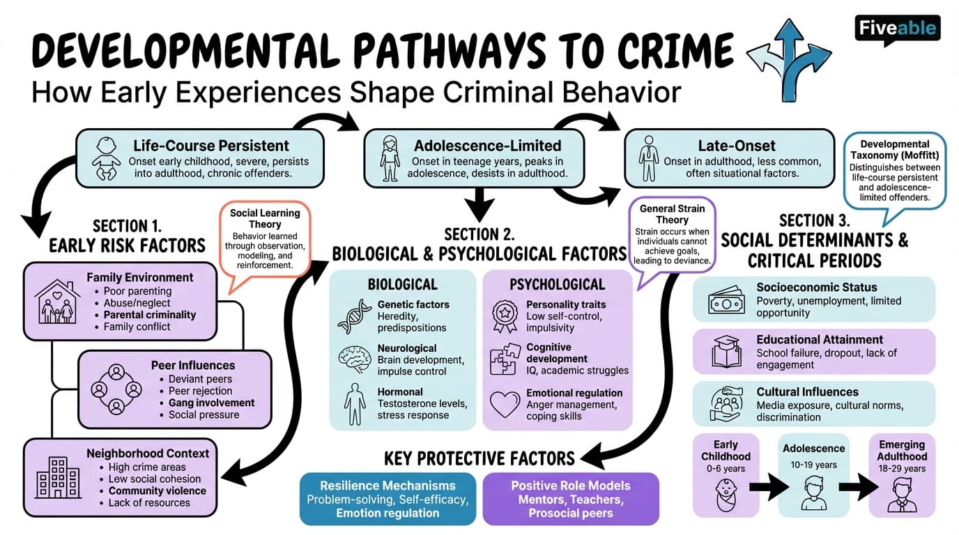 2.7 Developmental pathways to crime - Crime and Human Development - Unit 2 visual cheatsheet