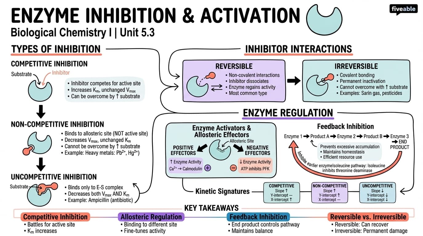 5.3 Enzyme inhibition and activation - Biological Chemistry I - Unit 5 visual cheatsheet
