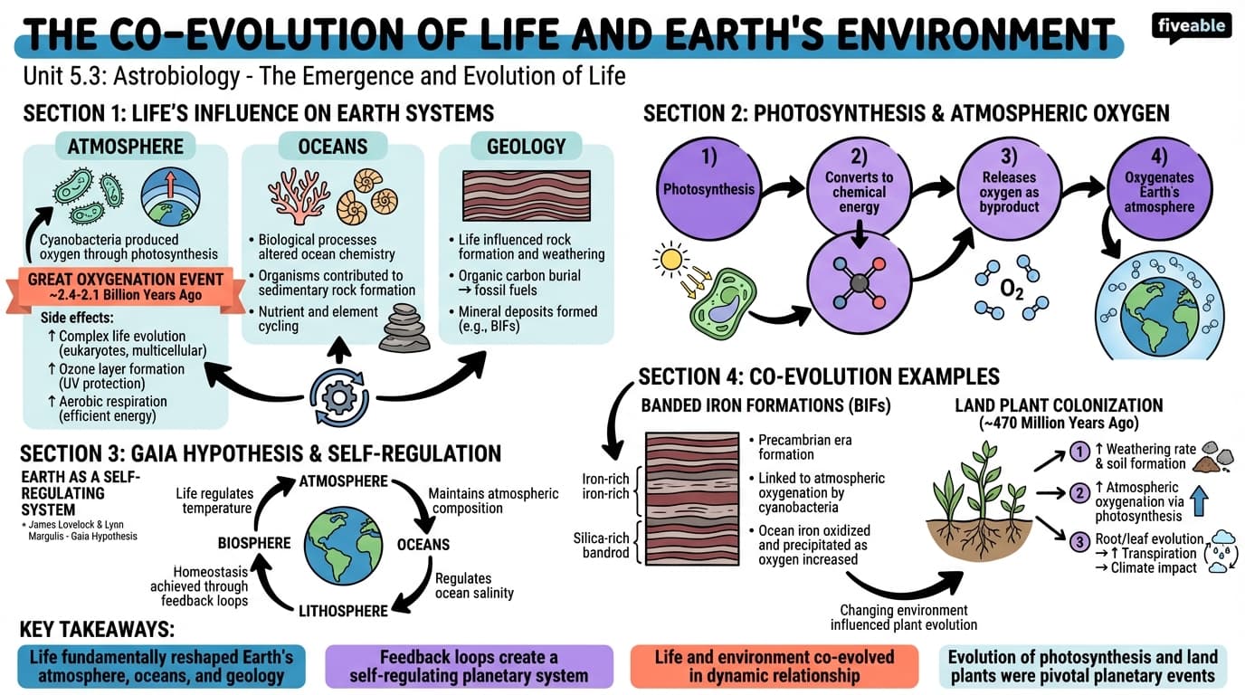 5.3 The co-evolution of life and Earth's environment - Astrobiology - Unit 5 visual cheatsheet