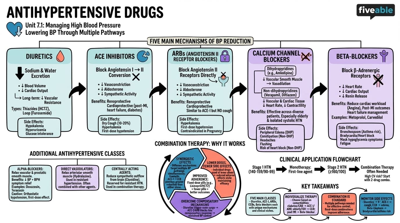 7.1 Antihypertensive drugs - Intro to Pharmacology - Unit 7 visual cheatsheet