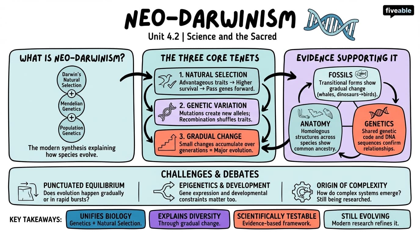 4.2 Neo-Darwinism - Science and the Sacred - Unit 4 visual cheatsheet
