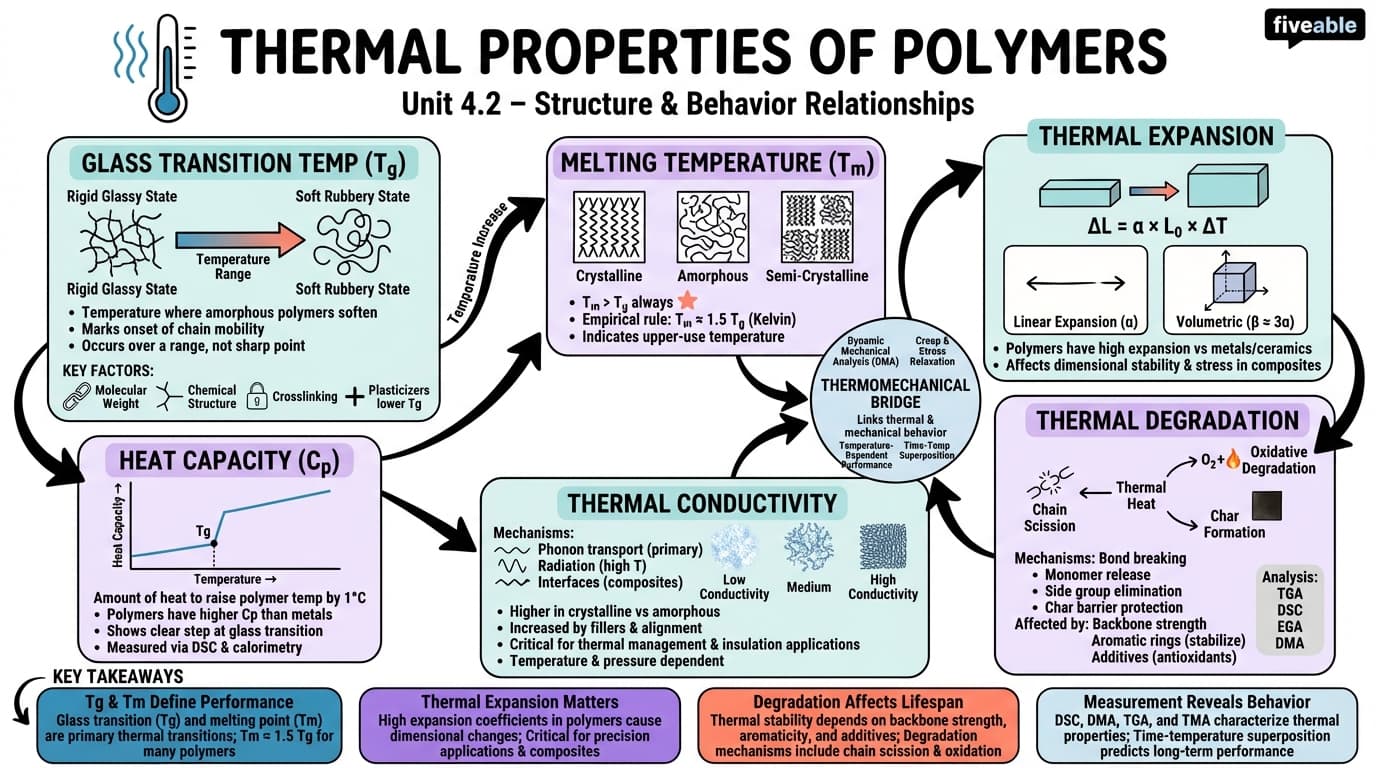 4.2 Thermal properties - Polymer Chemistry - Unit 4 visual cheatsheet