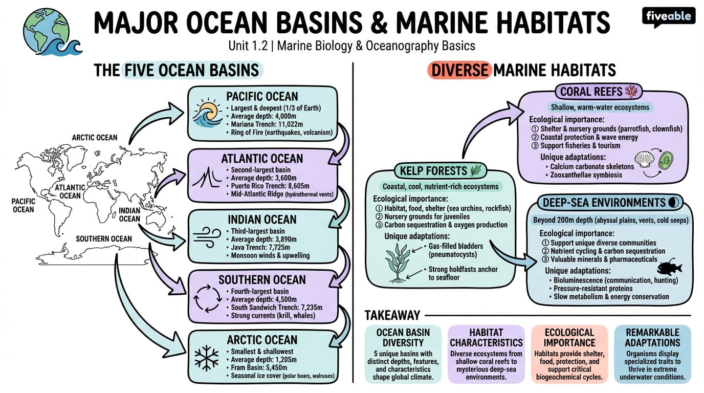 1.2 Major ocean basins and marine habitats - Marine Biology - Unit 1 visual cheatsheet