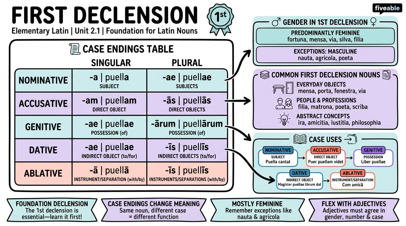2.1 First declension - Elementary Latin - Unit 2 visual cheatsheet
