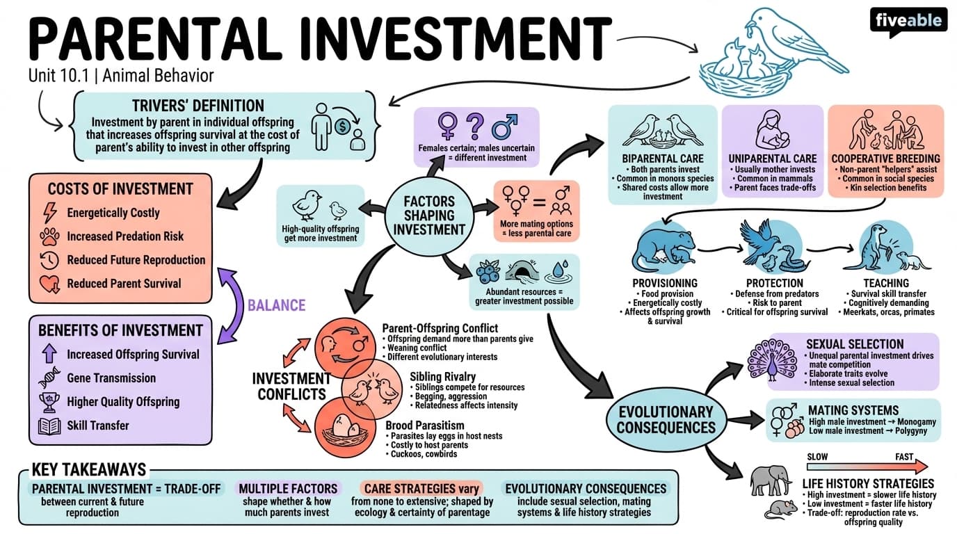 10.1 Parental investment - Animal Behavior - Unit 10 visual cheatsheet