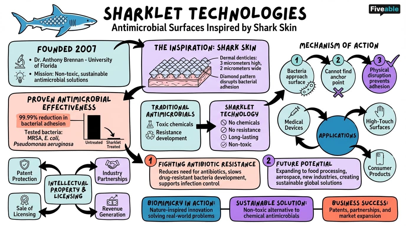 11.2 Sharklet Technologies and antimicrobial surfaces - Biomimicry in Business Innovation - Unit 11 visual cheatsheet