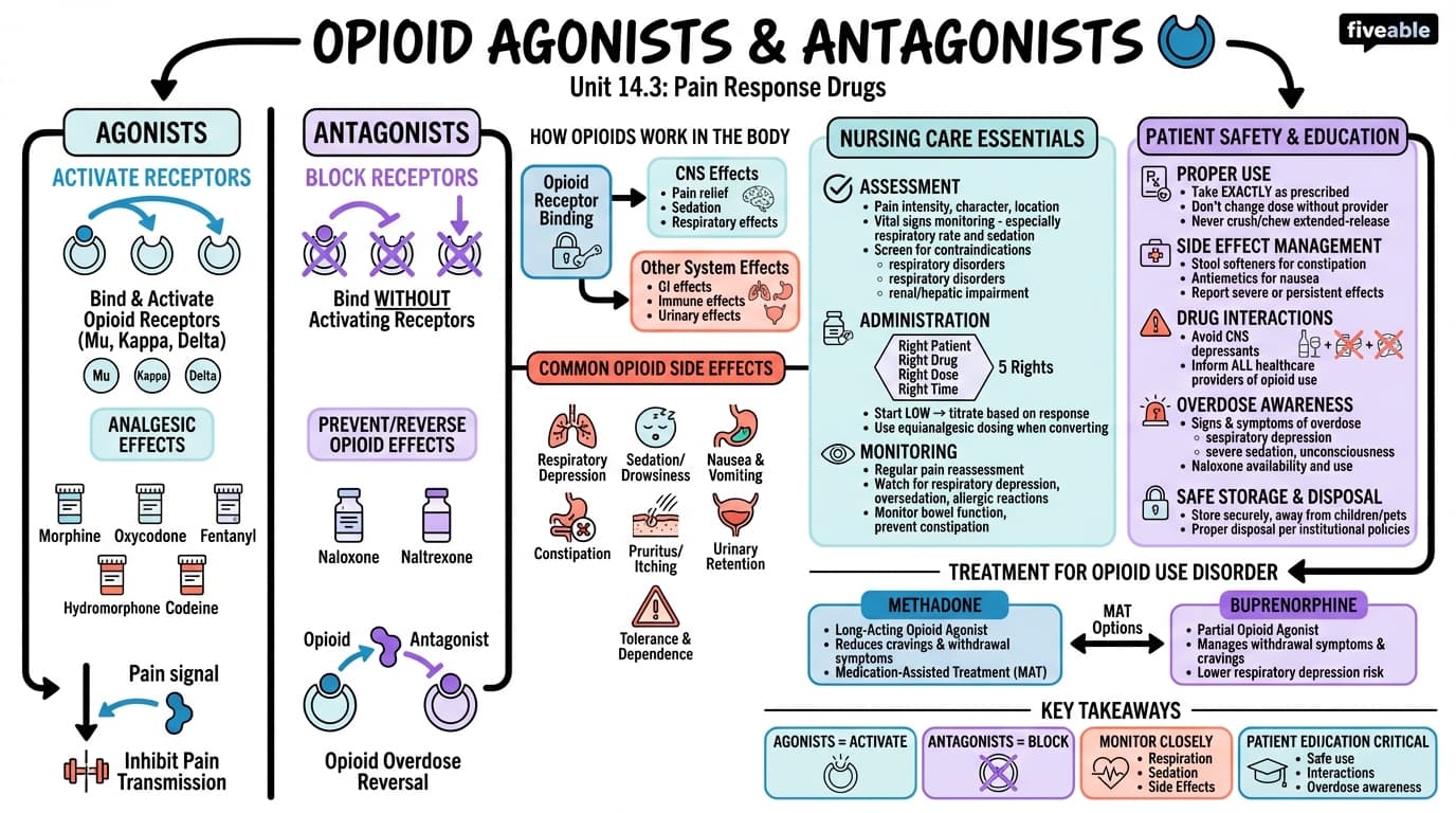 14.3 Opioid Agonists and Antagonists - Pharmacology for Nurses - Unit 14 visual cheatsheet